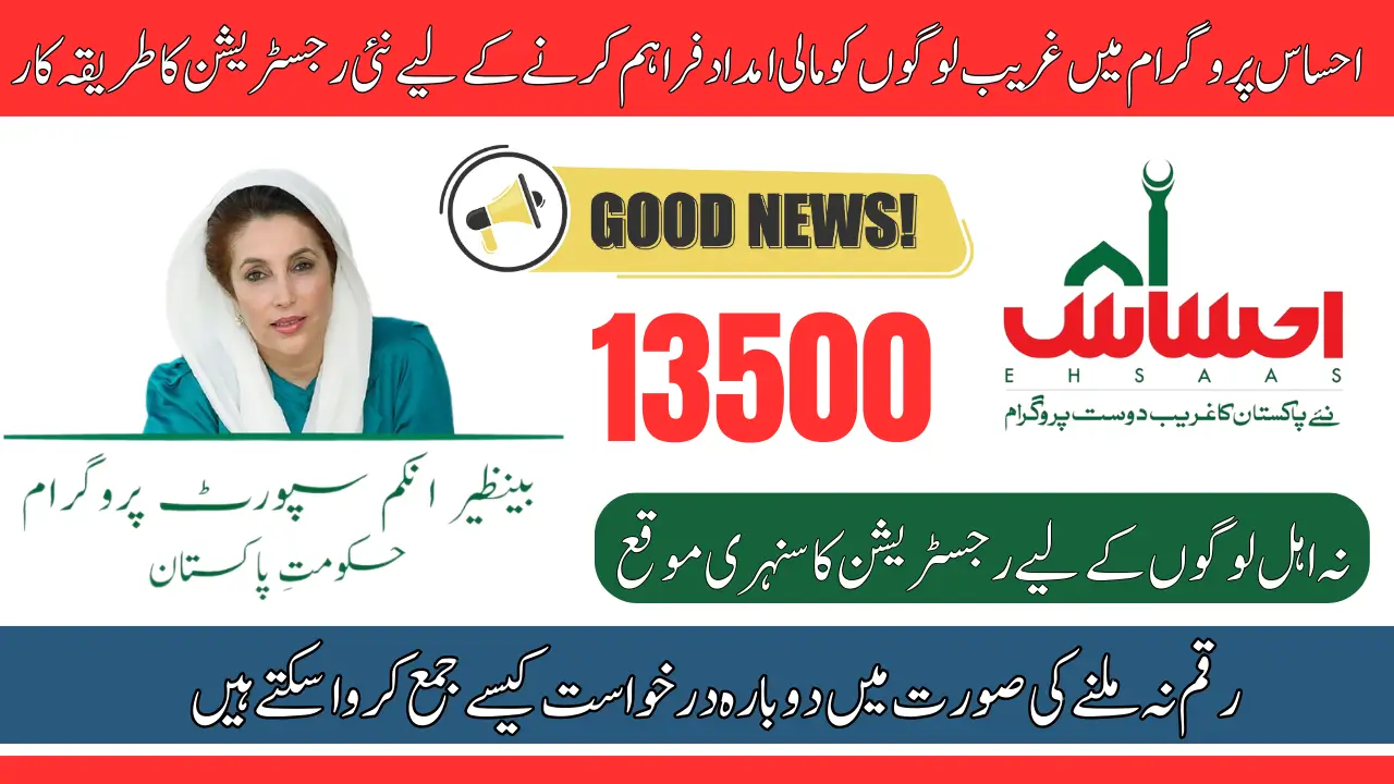Check Your Status for Ehsaas Program Registration 8171 NADRA 2025